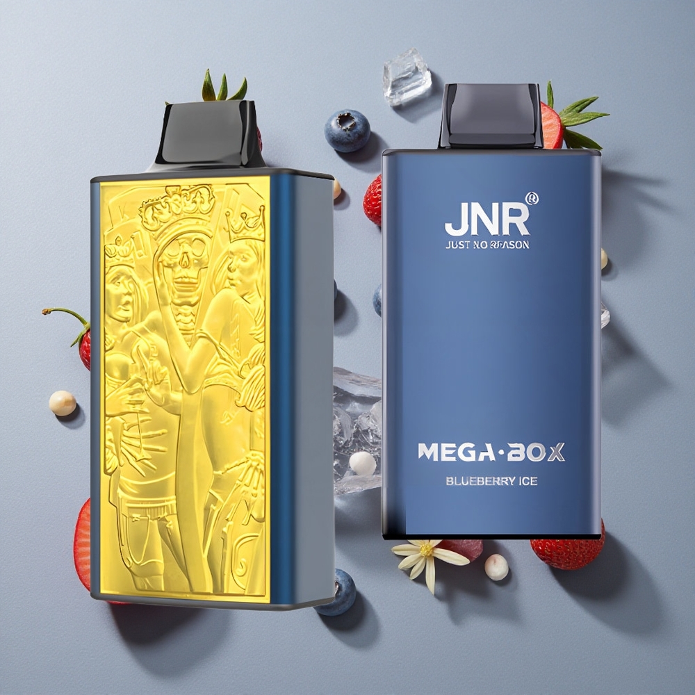 Arándano Azul Hielo JNR Mega Box 25000 Caladas Vape Desechable Capacidad de E-líquido de 30ml Tipo-C Carga Rápida