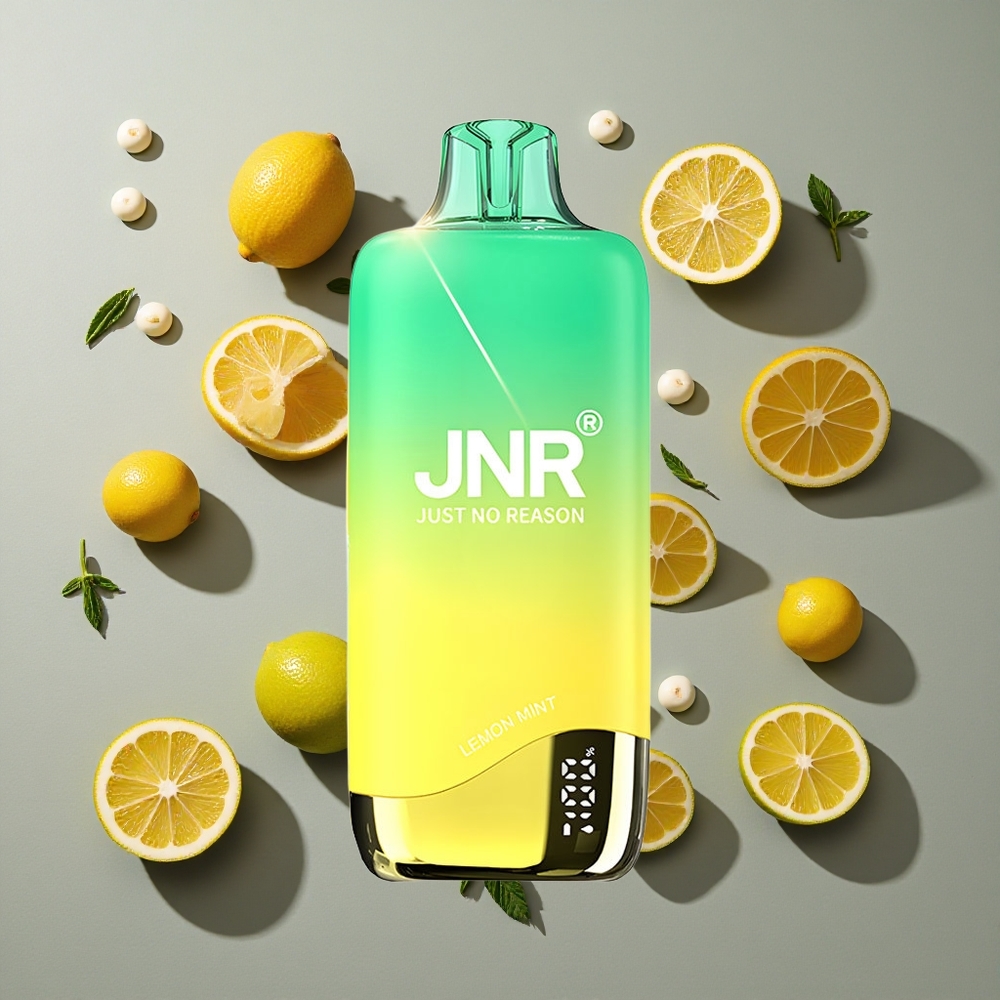 Limón Menta JNR Rainbow 10500 Puffs Vape Desechable 18ml Tanque de Líquido USB Type-c Carga